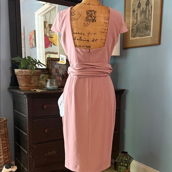 Dress the Population “Dana” Shirred Waist Dress in Light Mauve Size Medium NWT - Picture 10 of 16
